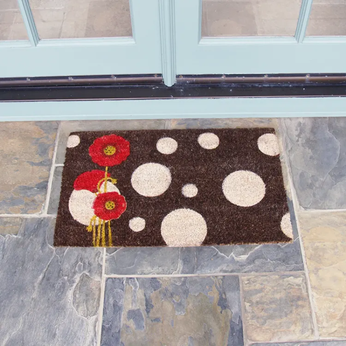 Rouge Contemporary Doormat In Front Of Door