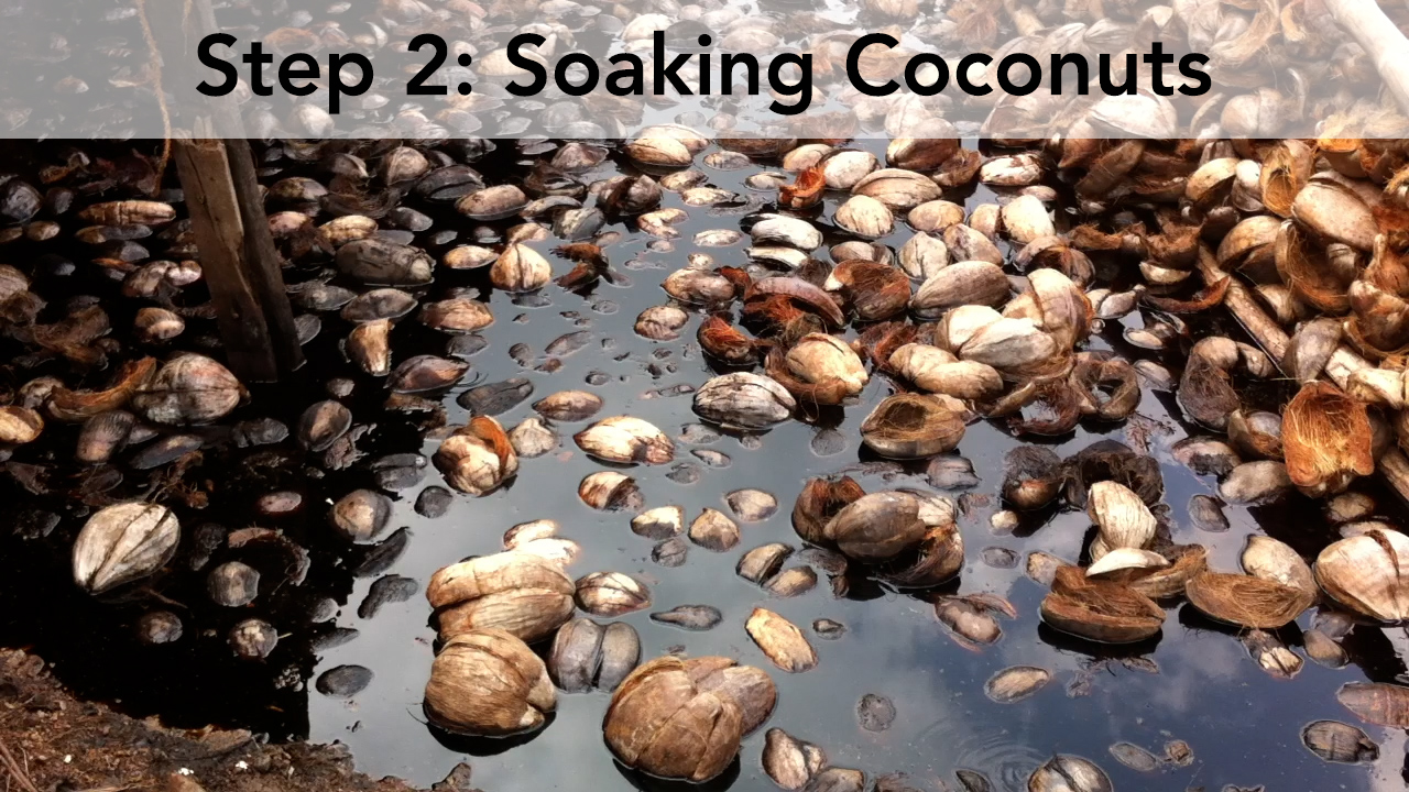 Step 2 Soaking Coconuts