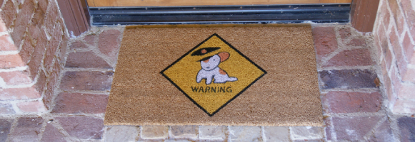 Beware of Dog Doormat